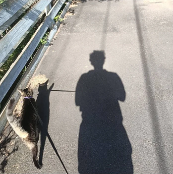 Shadow on pavement of Simon Katterl as he takes his cat for a walk