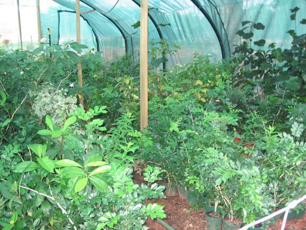 Garden area in ‘Aqualand’, Curtin IDC