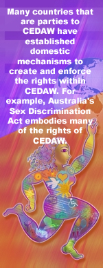 Many countries that are parties to CEDAW have established domestic mechanisms to create and enforce the rights within CEDAW. For example, Australia's Sex Discrimination Act embodies many of the rights of CEDAW.