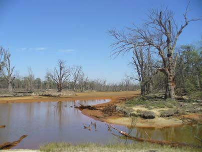 Bottle Bend Lagoon in May 2007