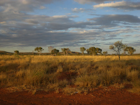 Photo of Mt Theo homeland