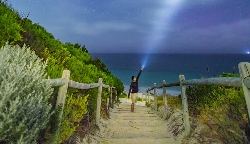 man shining torch at the beach