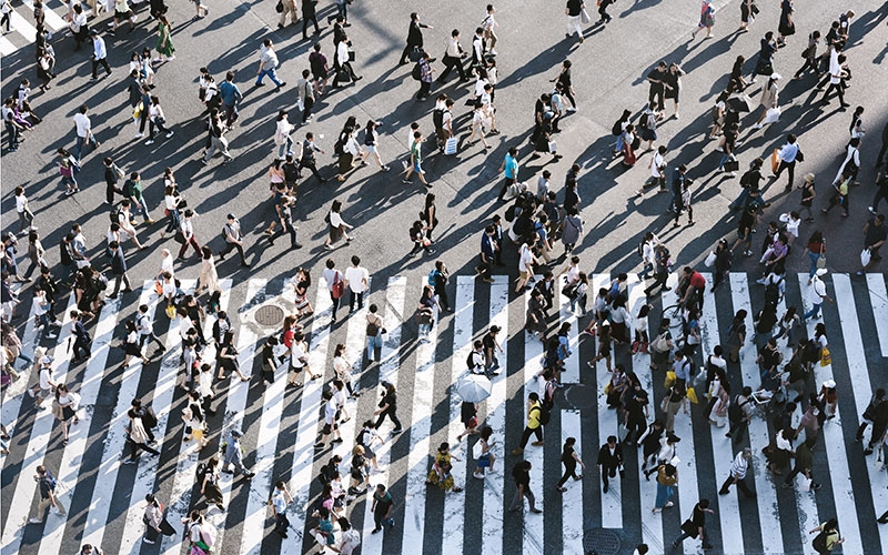 crowds of people at city zebra crossing