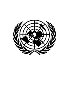 UN logo