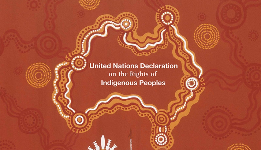 United Nations Declaration on the Rights of Indigenous Peoples